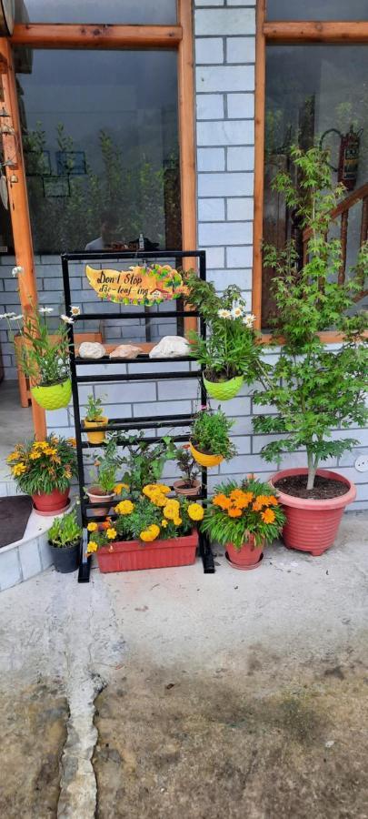 Bed and Breakfast God´s Land Manāli Exterior foto